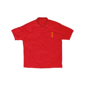 Kids Aikido polo shirt