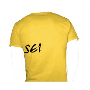 Mens Sensei t-shirt