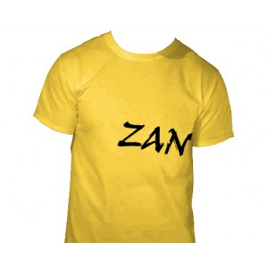 Mens Zanshin t-shirt