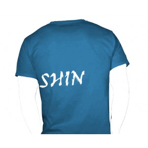 Mens Zanshin t-shirt