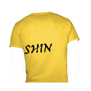 Mens Zanshin t-shirt